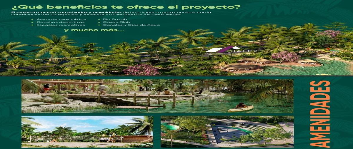 Foto de terreno habitacional en , san ignacio, progreso, yucatán, 30129094 foto 01 Foto de terreno habitacional en venta en , san ignacio, progreso, yucatán, 30129094 No. 01