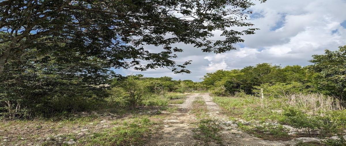 Foto de terreno habitacional en venta en  , san ignacio, progreso, yucatán, 0 No. 03