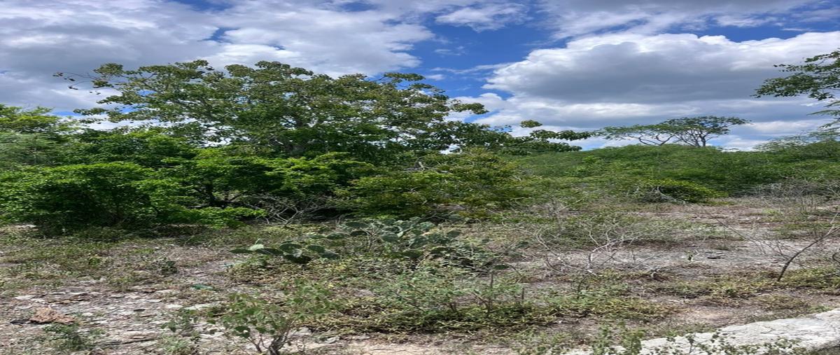 Foto de terreno habitacional en venta en  , san ignacio, progreso, yucatán, 30190066 No. 03