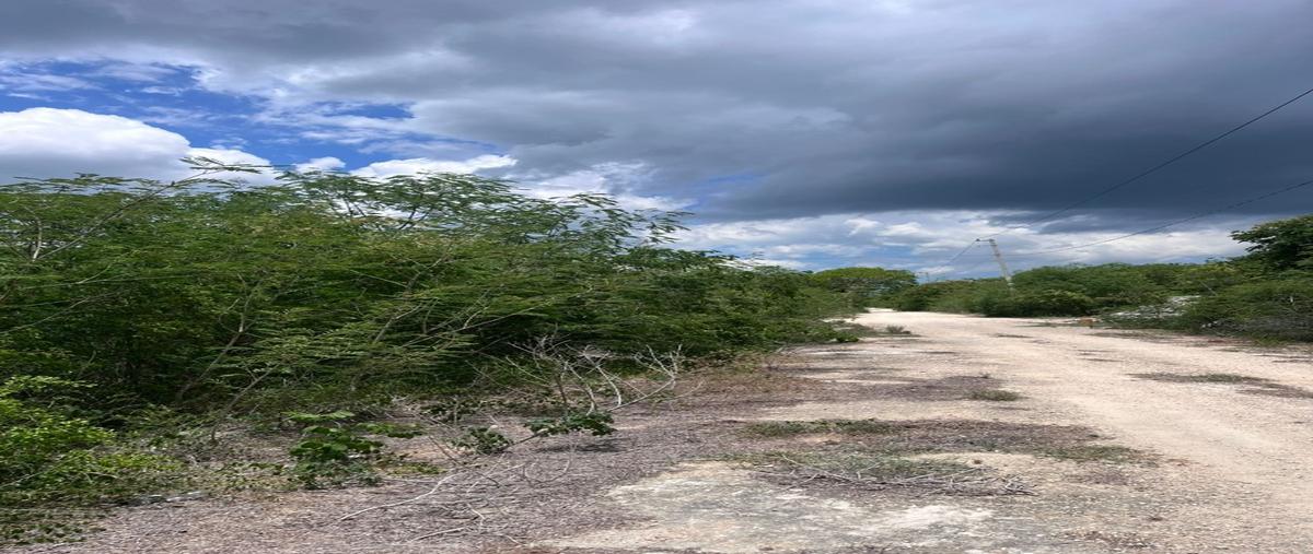 Foto de terreno habitacional en venta en  , san ignacio, progreso, yucatán, 30190066 No. 04