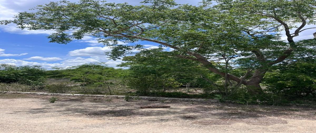 Foto de terreno habitacional en venta en  , san ignacio, progreso, yucatán, 30190066 No. 05