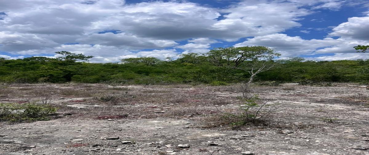 Foto de terreno habitacional en venta en  , san ignacio, progreso, yucatán, 30190067 No. 04