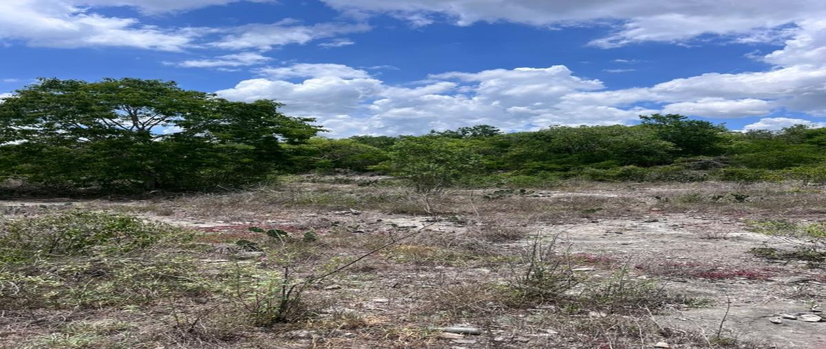Foto de terreno habitacional en venta en  , san ignacio, progreso, yucatán, 30190067 No. 05