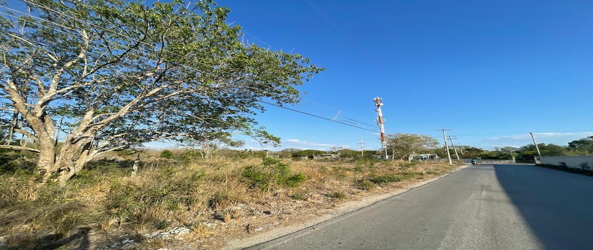 Foto de terreno habitacional en , san ignacio, progreso, yucatán, 30298466 foto 02 Foto de terreno habitacional en venta en , san ignacio, progreso, yucatán, 30298466 No. 02
