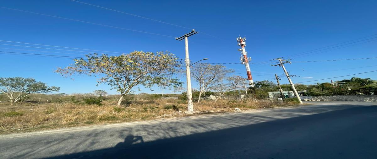 Foto de terreno habitacional en , san ignacio, progreso, yucatán, 30298466 foto 04 Foto de terreno habitacional en venta en , san ignacio, progreso, yucatán, 30298466 No. 04