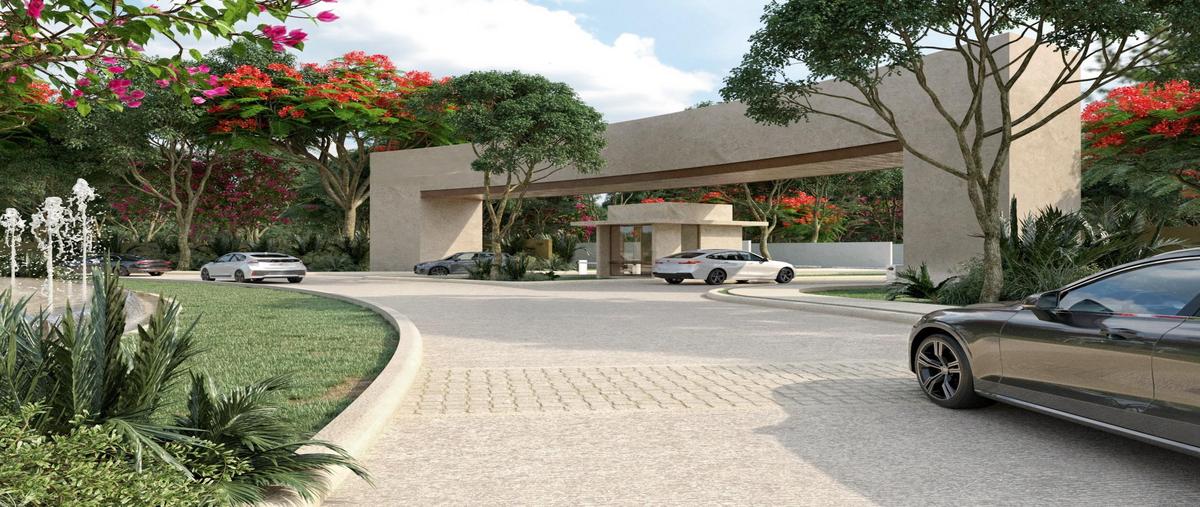 Foto de terreno habitacional en venta en  , san ignacio, progreso, yucatán, 0 No. 03