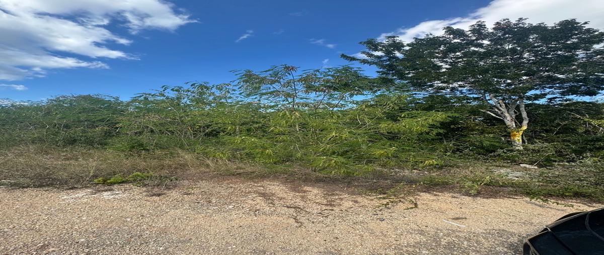 Foto de terreno habitacional en venta en  , san ignacio, progreso, yucatán, 30457272 No. 03