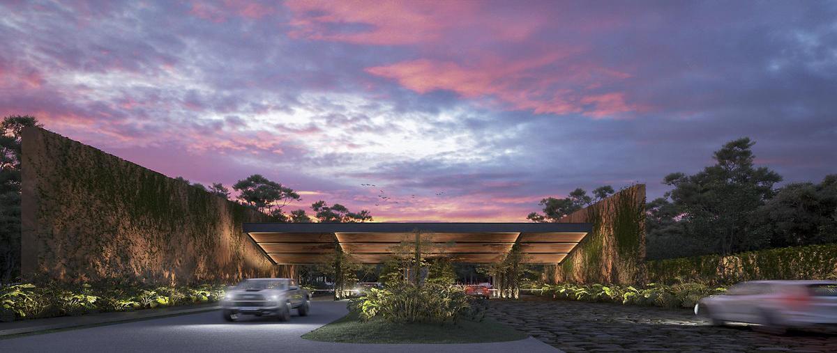 Foto de terreno habitacional en venta en  , san ignacio, progreso, yucatán, 30526414 No. 05