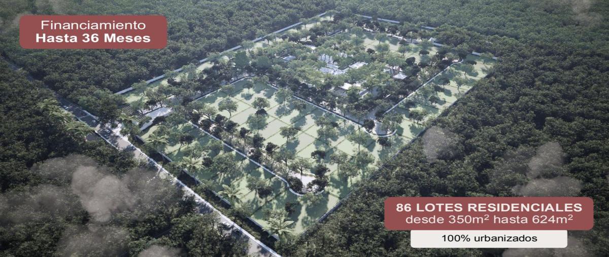 Foto de terreno habitacional en venta en  , san ignacio, progreso, yucatán, 30609716 No. 03