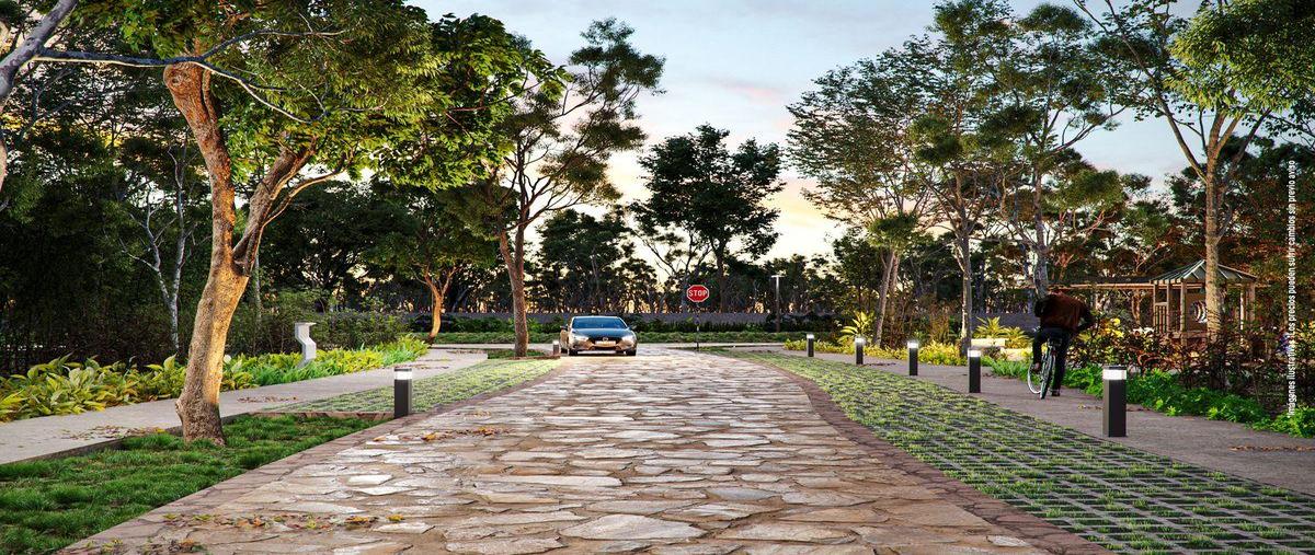Foto de terreno habitacional en venta en  , san ignacio, progreso, yucatán, 30644465 No. 04