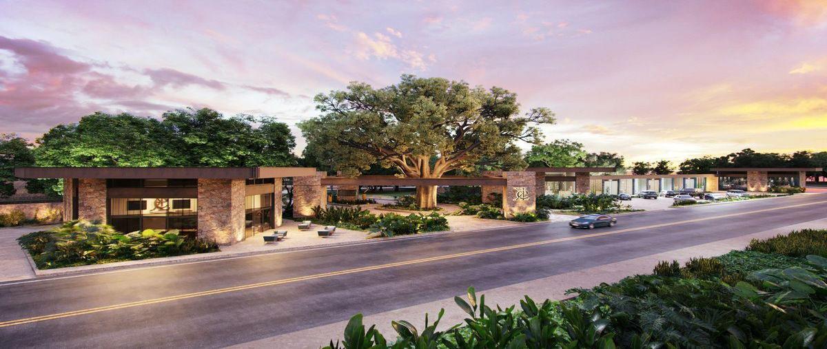 Foto de terreno habitacional en venta en  , san ignacio, progreso, yucatán, 30711195 No. 05