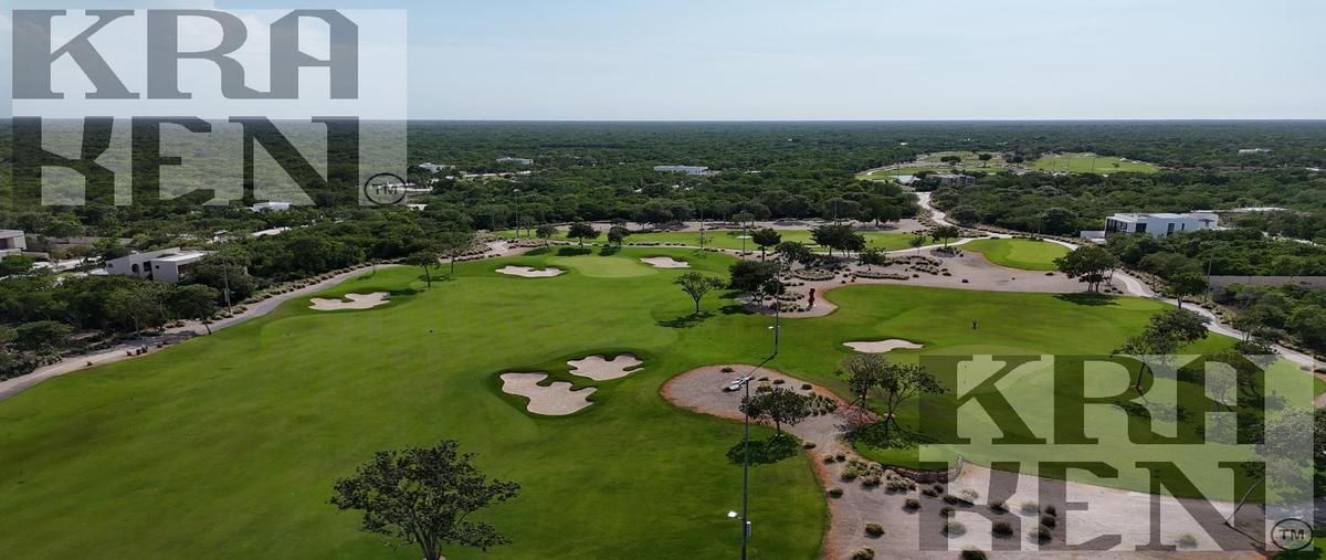 Foto de terreno habitacional en venta en  , san ignacio, progreso, yucatán, 30754169 No. 05