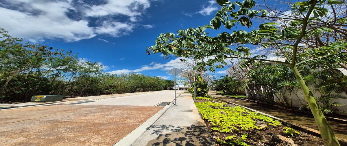 Foto de terreno habitacional en venta en  , san ignacio, progreso, yucatán, 30772464 No. 03