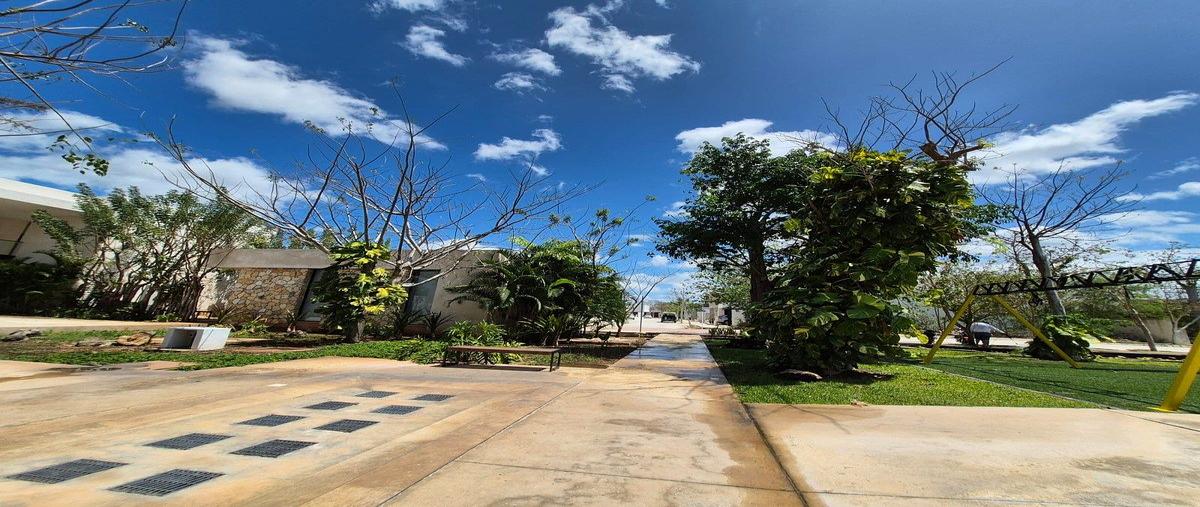Foto de terreno habitacional en venta en  , san ignacio, progreso, yucatán, 30772464 No. 05