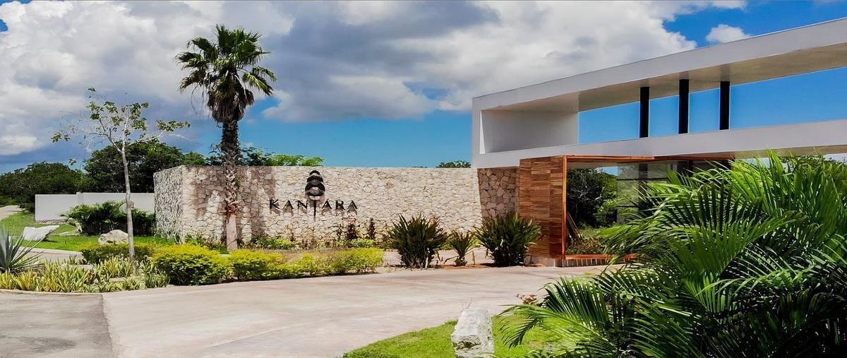Foto de terreno habitacional en venta en  , san ignacio, progreso, yucatán, 0 No. 03