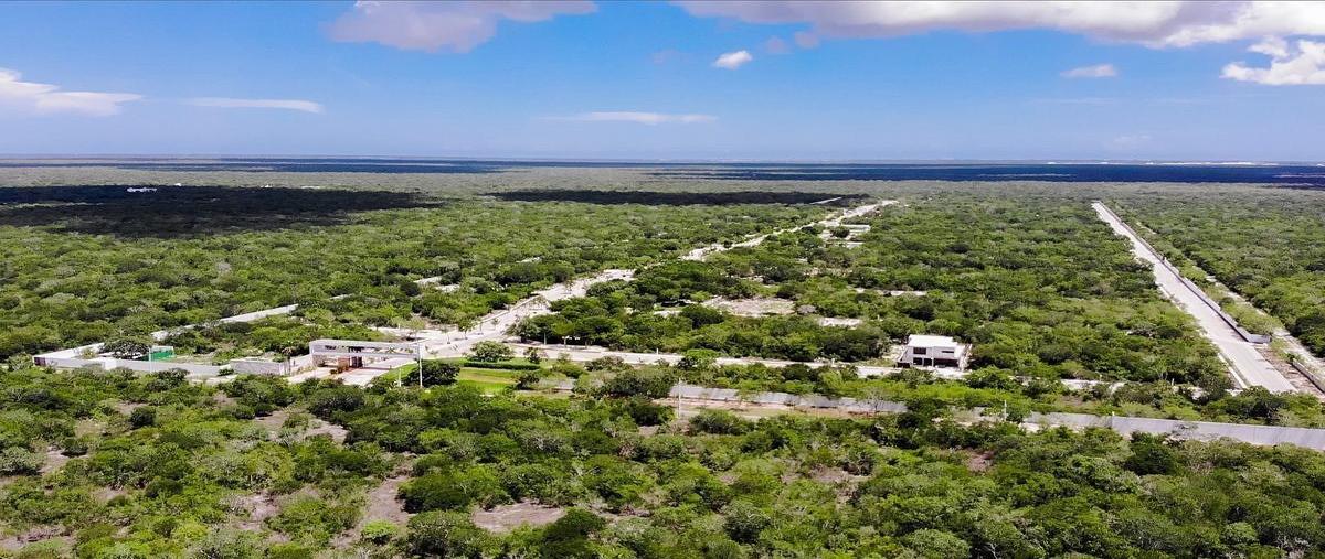 Foto de terreno habitacional en venta en  , san ignacio, progreso, yucatán, 0 No. 05