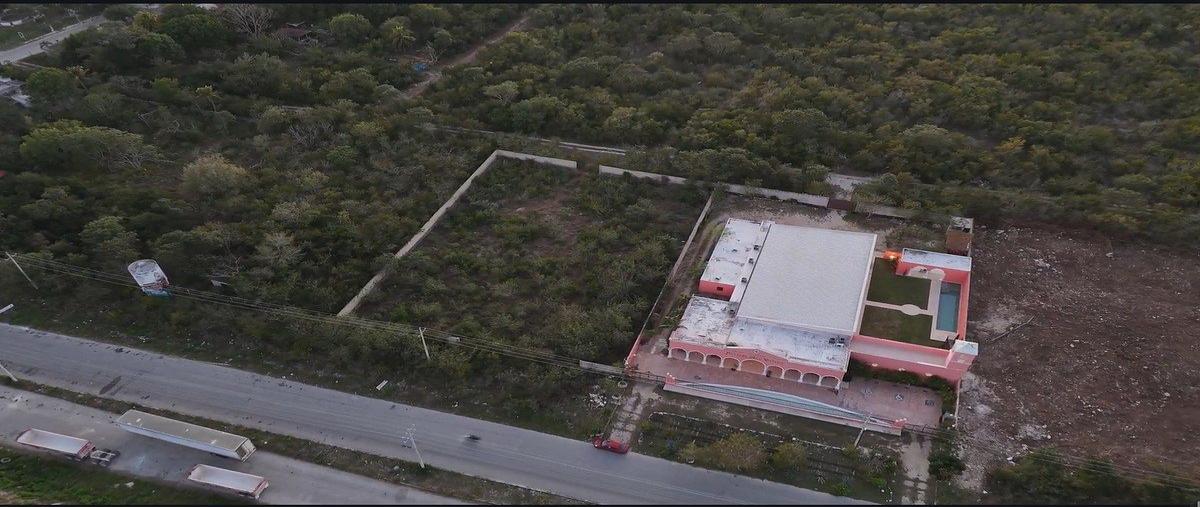 Foto de terreno habitacional en , san ignacio, progreso, yucatán, 30949786 foto 05 Foto de terreno habitacional en venta en , san ignacio, progreso, yucatán, 30949786 No. 05