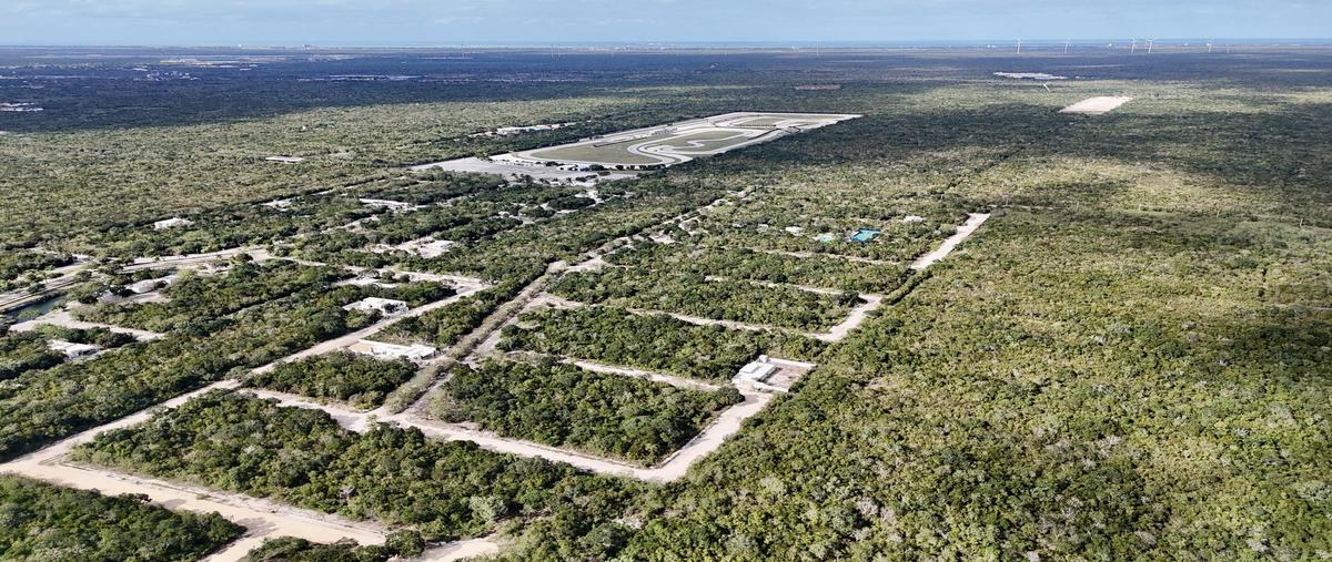 Foto de terreno habitacional en venta en  , san ignacio, progreso, yucatán, 0 No. 04