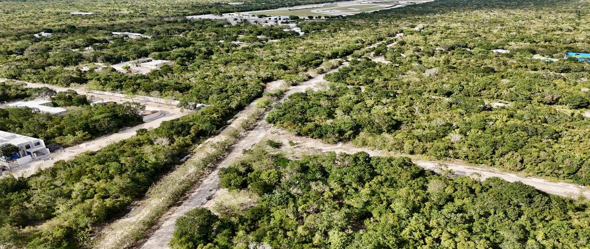 Foto de terreno habitacional en venta en  , san ignacio, progreso, yucatán, 0 No. 05