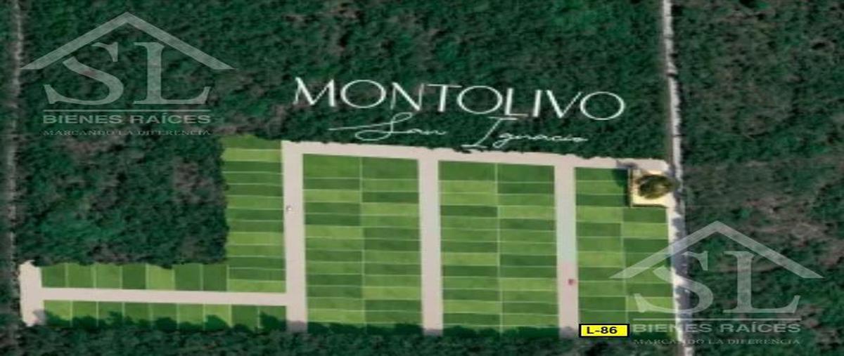 Foto de terreno habitacional en venta en  , san ignacio, progreso, yucatán, 0 No. 03