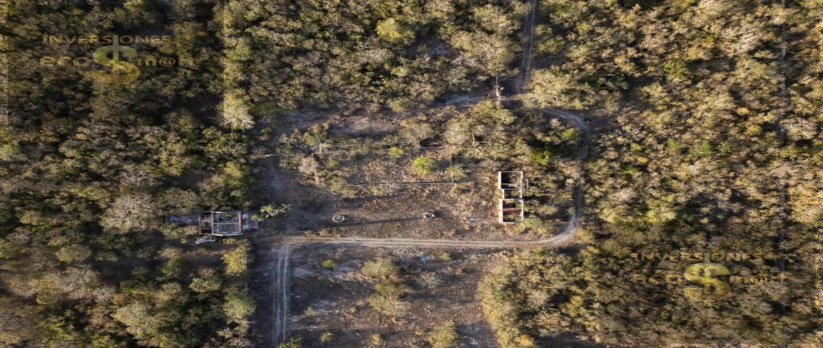 Foto de terreno habitacional en venta en  , san ignacio, progreso, yucatán, 0 No. 03