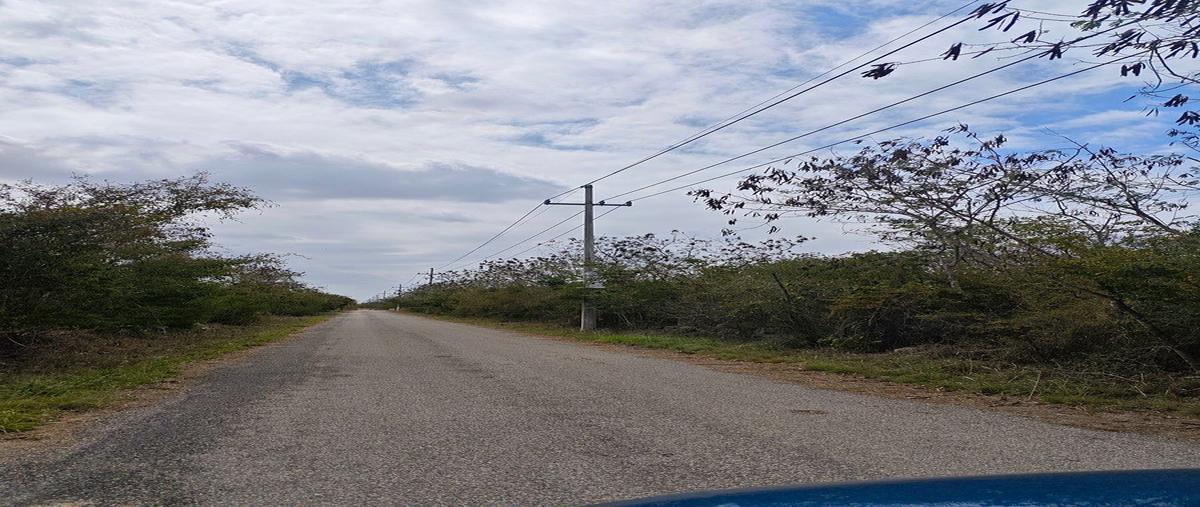Foto de terreno habitacional en venta en  , san ignacio, progreso, yucatán, 0 No. 04