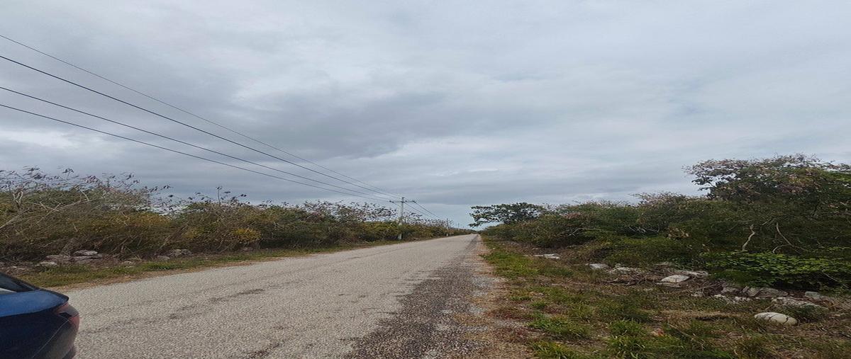 Foto de terreno habitacional en venta en  , san ignacio, progreso, yucatán, 0 No. 06