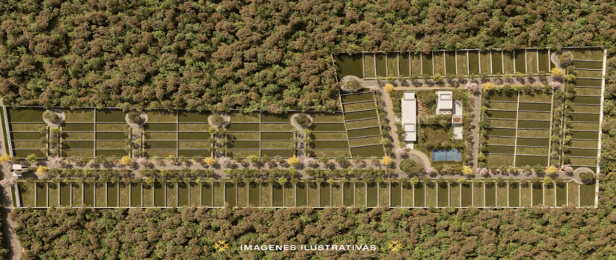 Foto de terreno habitacional en venta en  , san ignacio, progreso, yucatán, 0 No. 03