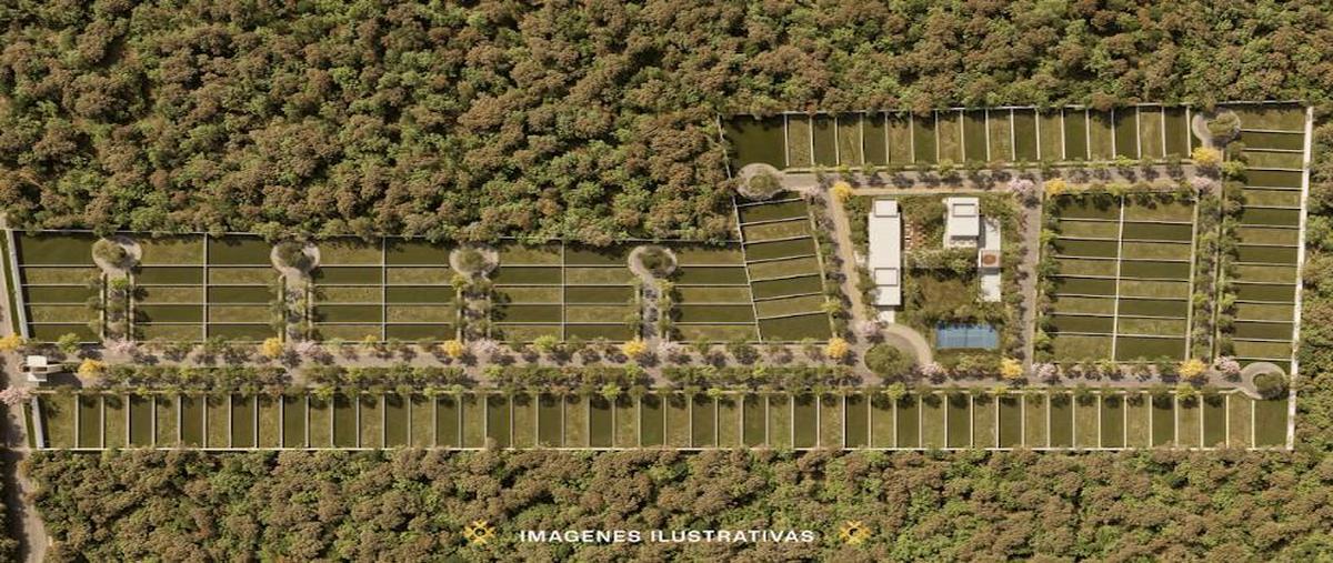 Foto de terreno habitacional en venta en  , san ignacio, progreso, yucatán, 0 No. 03