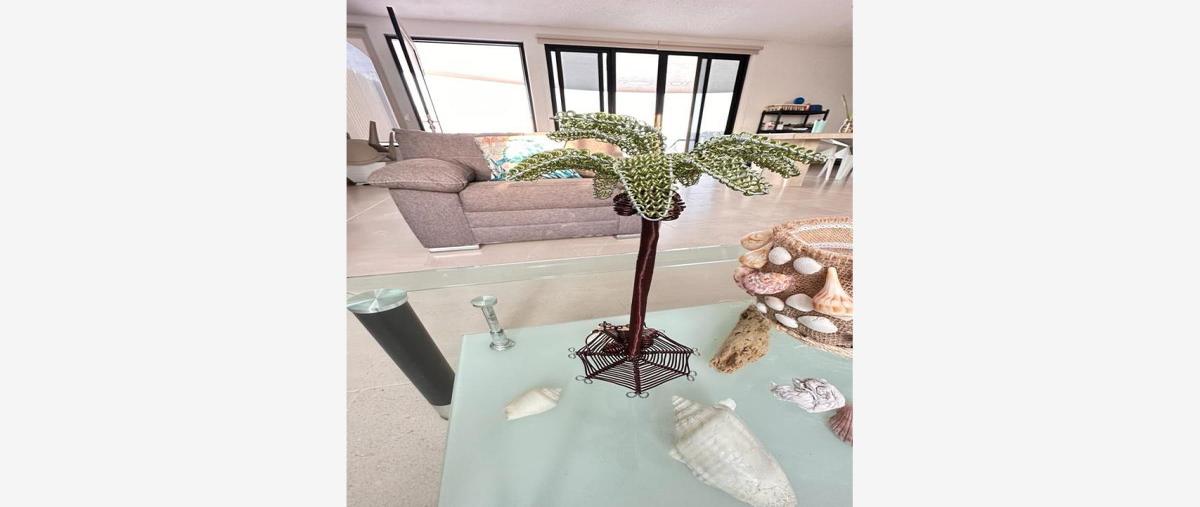 Foto de casa en renta en  , san ignacio, progreso, yucatán, 0 No. 05