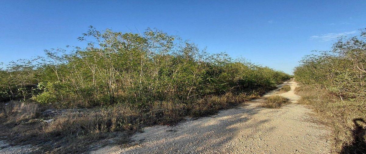 Foto de terreno habitacional en venta en  , san ignacio, progreso, yucatán, 0 No. 03