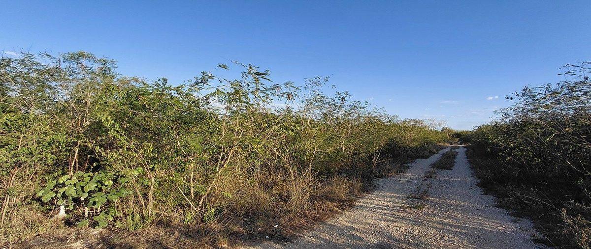 Foto de terreno habitacional en venta en  , san ignacio, progreso, yucatán, 0 No. 04