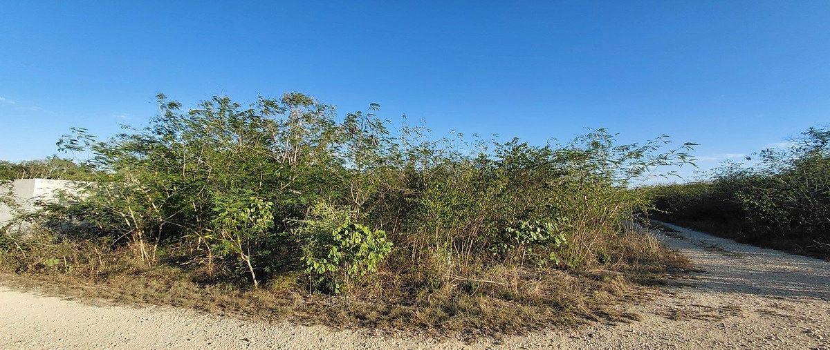 Foto de terreno habitacional en venta en  , san ignacio, progreso, yucatán, 0 No. 05