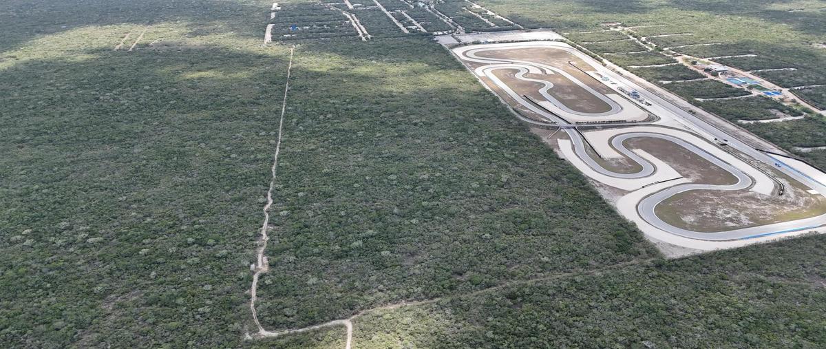 Foto de terreno habitacional en venta en  , san ignacio, progreso, yucatán, 0 No. 05