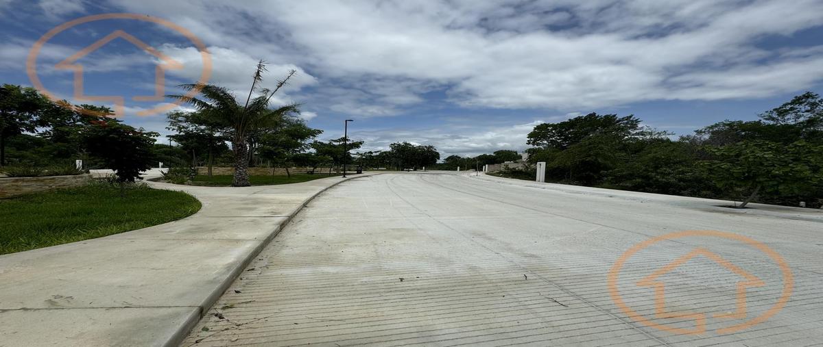 Foto de terreno habitacional en venta en  , san ignacio tesip, mérida, yucatán, 0 No. 05
