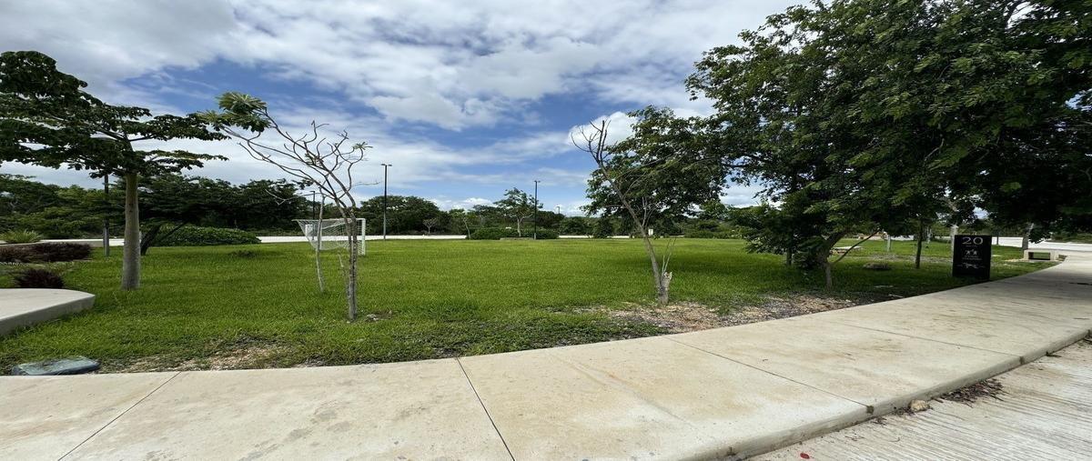 Foto de terreno habitacional en venta en  , san ignacio tesip, mérida, yucatán, 0 No. 04