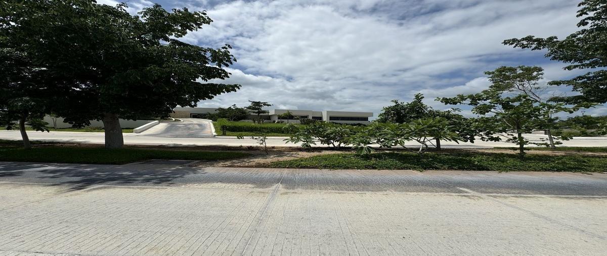 Foto de terreno habitacional en venta en  , san ignacio tesip, mérida, yucatán, 0 No. 05