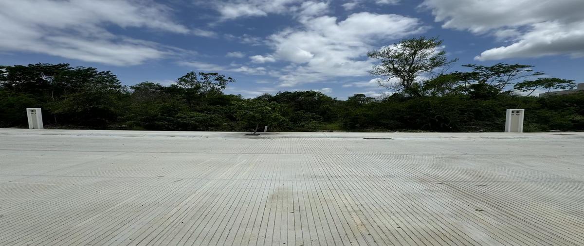 Foto de terreno habitacional en venta en  , san ignacio tesip, mérida, yucatán, 0 No. 07