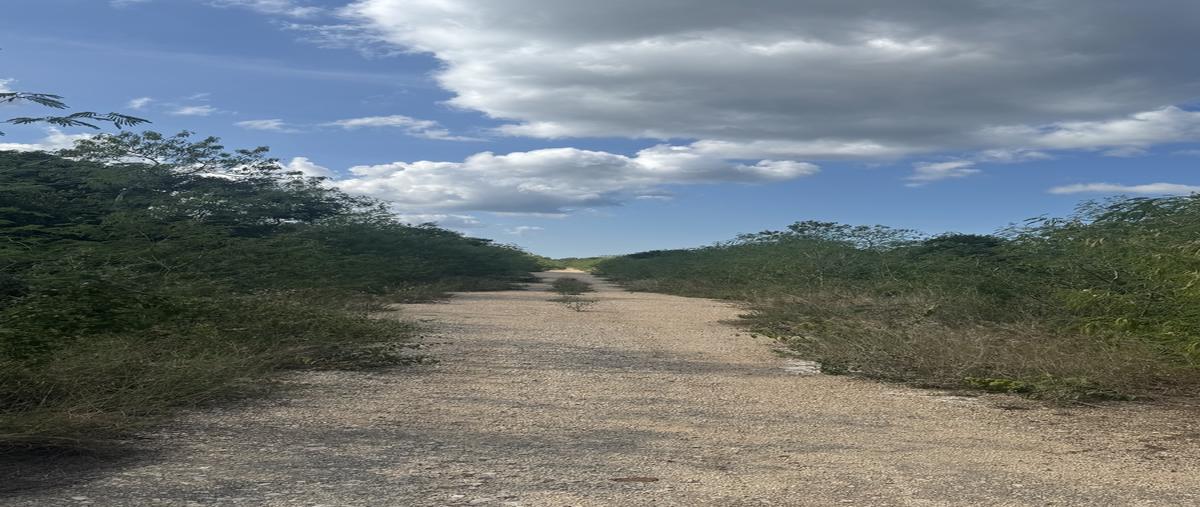 Foto de terreno habitacional en venta en  , san ignacio tesip, mérida, yucatán, 30457272 No. 04