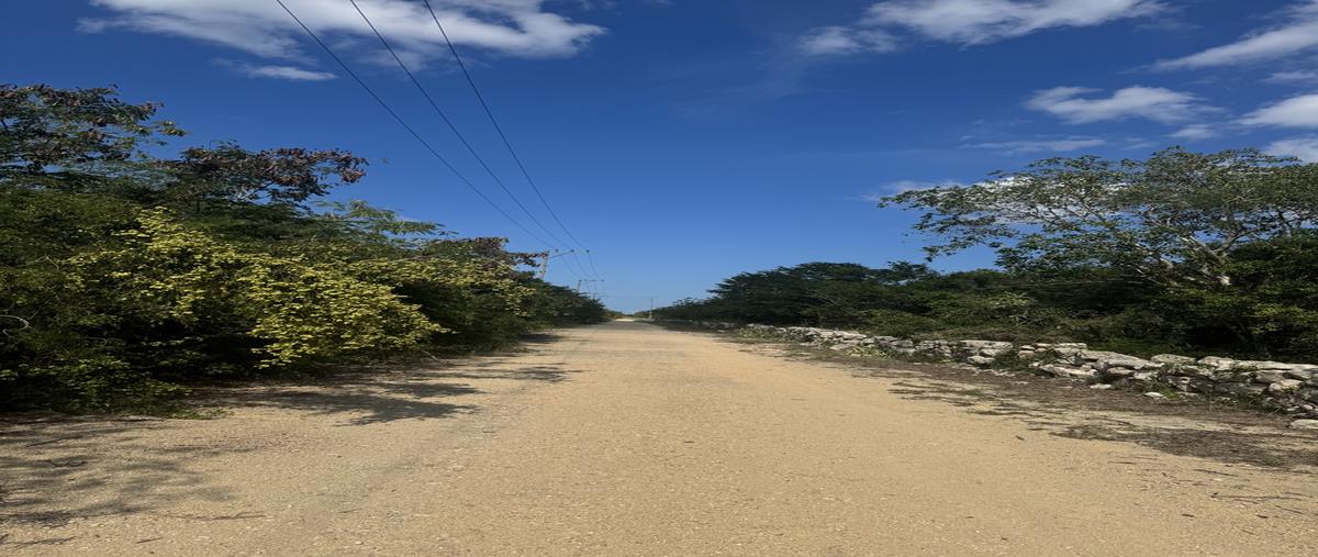 Foto de terreno habitacional en venta en  , san ignacio tesip, mérida, yucatán, 30457272 No. 05