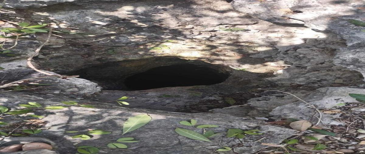 Foto de terreno habitacional en venta en  , san ignacio tesip, mérida, yucatán, 30711156 No. 03