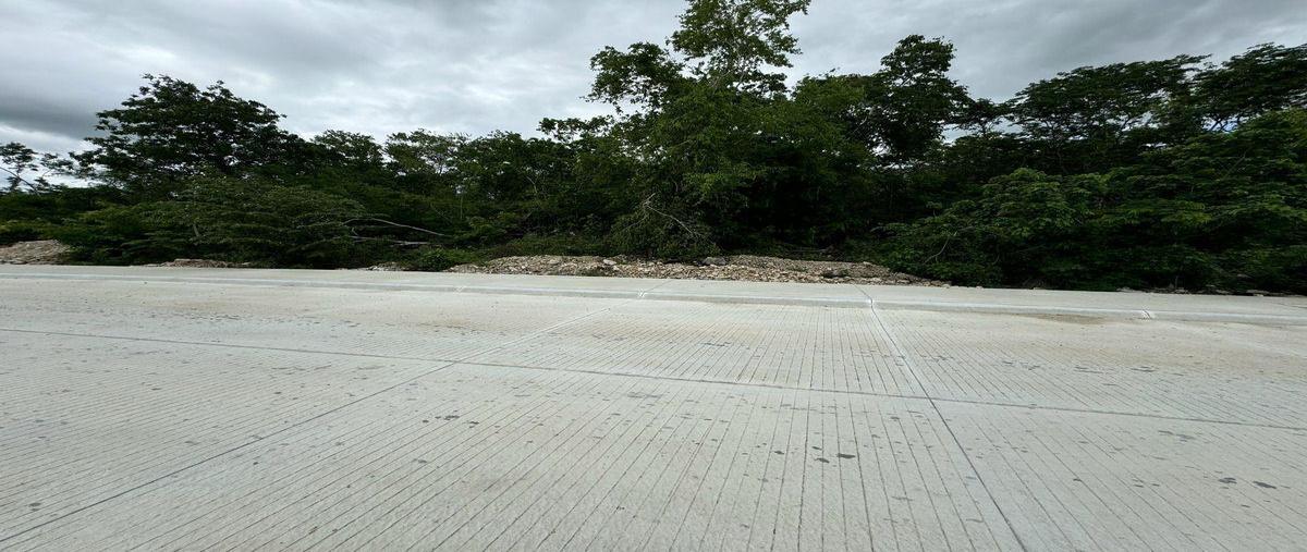 Foto de terreno habitacional en venta en  , san ignacio tesip, mérida, yucatán, 30711159 No. 05