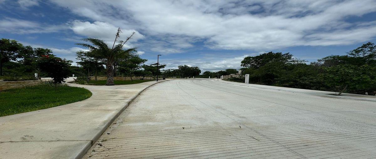 Foto de terreno habitacional en venta en  , san ignacio tesip, mérida, yucatán, 0 No. 05