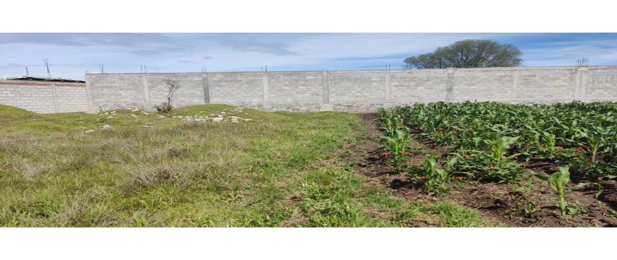 Foto de terreno habitacional en venta en  , san ildefonso hueyotlipan, hueyotlipan, tlaxcala, 25348184 No. 03