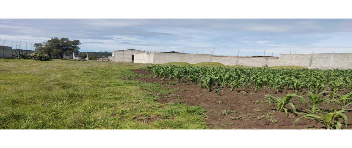 Foto de terreno habitacional en venta en  , san ildefonso hueyotlipan, hueyotlipan, tlaxcala, 25348184 No. 04