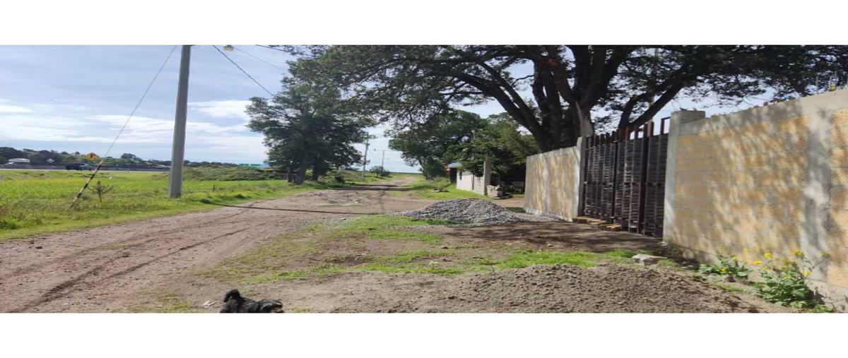 Foto de terreno habitacional en venta en  , san ildefonso hueyotlipan, hueyotlipan, tlaxcala, 25348184 No. 05