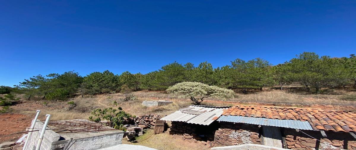 Foto de terreno habitacional en venta en  , san ildefonso tultepec (centro), amealco de bonfil, querétaro, 26380503 No. 04