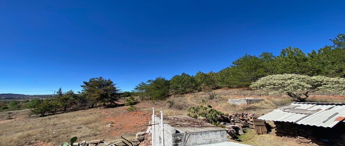 Foto de terreno habitacional en venta en  , san ildefonso tultepec (centro), amealco de bonfil, querétaro, 26380503 No. 05