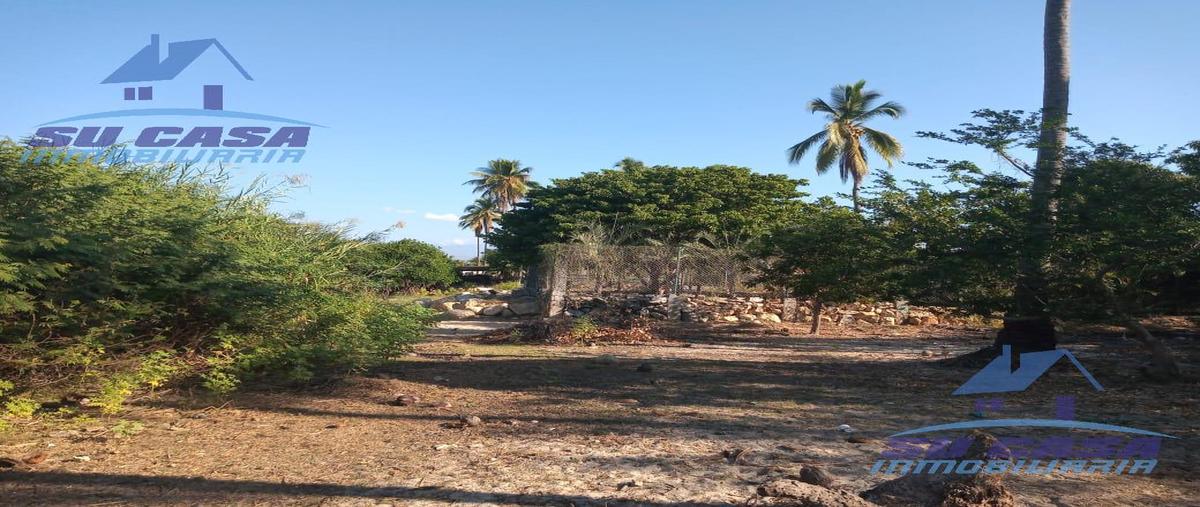 Foto de terreno habitacional en venta en  , san isidro, acapulco de juárez, guerrero, 19597386 No. 05