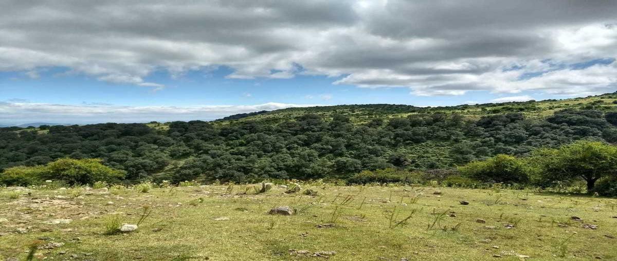 Foto de terreno habitacional en venta en  , san isidro buenavista, querétaro, querétaro, 18247716 No. 05